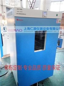 DHG-96209620鼓风干燥箱定制-滤芯烘干箱