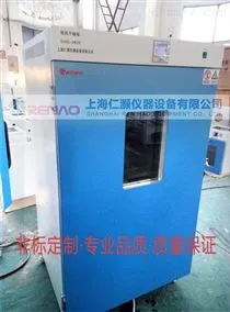 DHG-96209620鼓风干燥箱定制-滤芯烘干箱